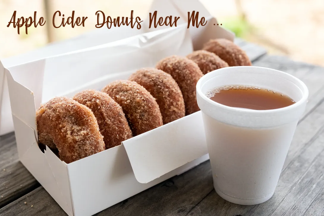 Apple cider donuts near me rhode island